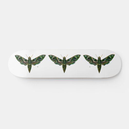 Deilephila Nerii - Oleander Hawk-Moth Skateboard (Horizontal)