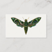 Deilephila Nerii - Oleander Hawk-Moth Visitenkarte (Rückseite)