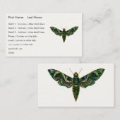 Deilephila Nerii - Oleander Hawk-Moth Visitenkarte (Vorne/Hinten)