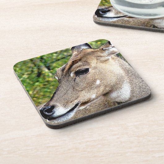 DEIN GETRÄNKEUNTERSETZER (Linke Seite)