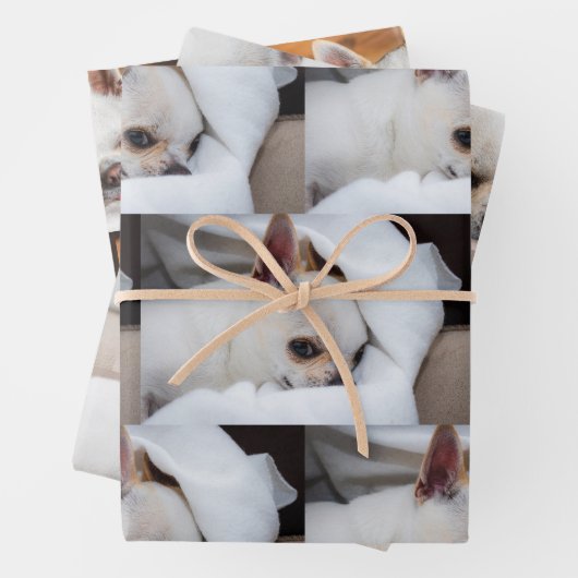 Dein Haushund hat einen eigenen 3-Foto-Chihuahua-M Geschenkpapier Set (Beispiel)