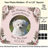 Dein Haustier-Foto, Datum speichern, rosa Rosen & Quadratischer Aufkleber