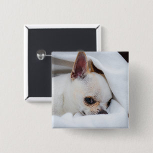 Dein Haustier Hund Welpe individuelles Foto Chihua Button