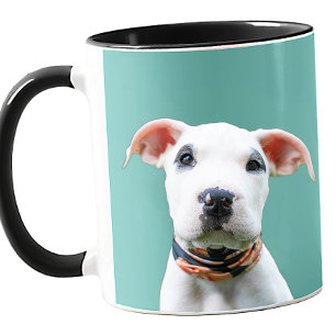 Dein Hund Foto Benutzerdefinierte Farbe Süßes Gesc Tasse