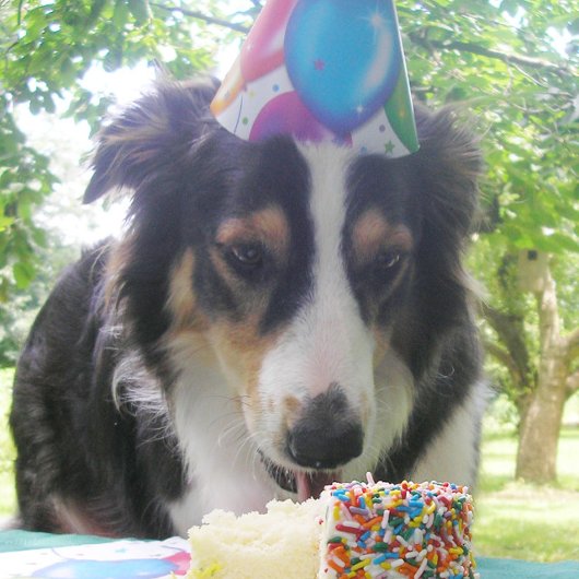 "Dein Kuchen haben und es auch essen!" Dankeskarte