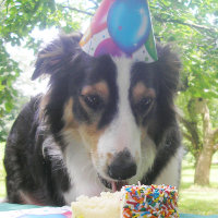 "Dein Kuchen haben und es auch essen!"