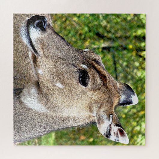 DEIN PUZZLE (Horizontal)