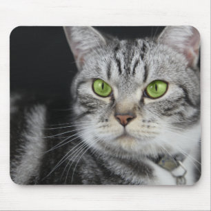 Dein süßes Katzenfoto individuell Mousepad