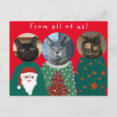 Deine 3 Katzen in Ugly Christmas Sweaters Postkarte (Vorderseite)