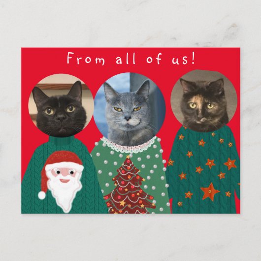 Deine 3 Katzen in Ugly Christmas Sweaters Postkarte (Vorderseite)