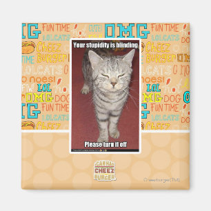 Deine Dummheit ist die Blindheit 2 Magnet