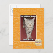 Deine Dummheit ist die Blindheit 2 Postkarte (Vorne/Hinten)