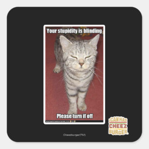 Deine Dummheit ist die Blindheit 2 Quadratischer Aufkleber