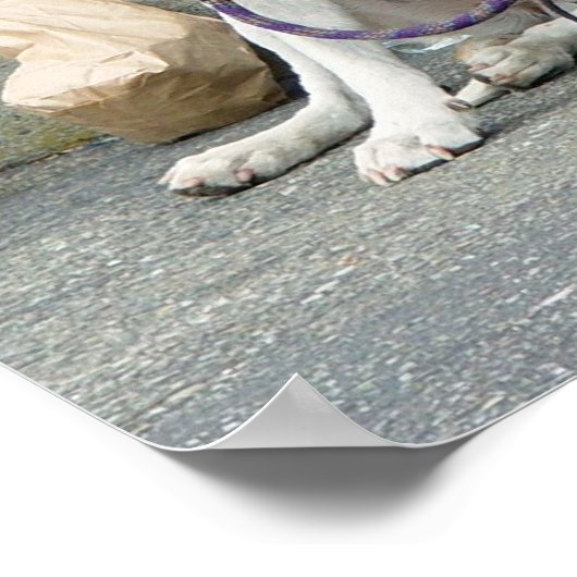 Deine heimatlose Tochter... Poster (Ecke)