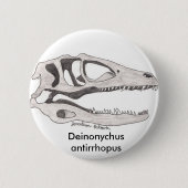 Deinonychus antirrhopus Knopf Button (Vorderseite)