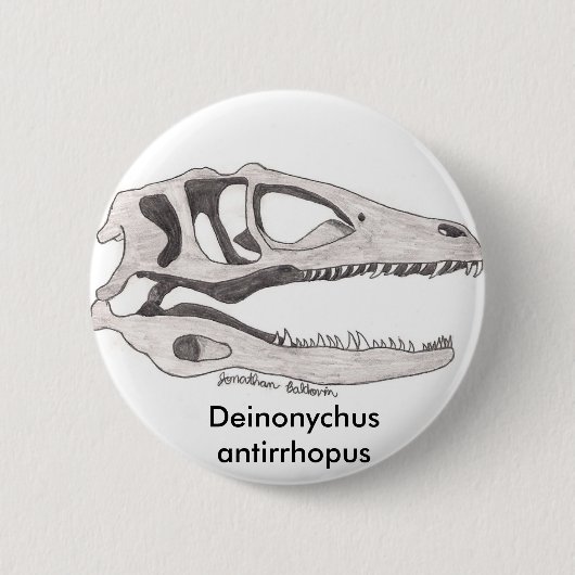 Deinonychus antirrhopus Knopf Button (Vorderseite)