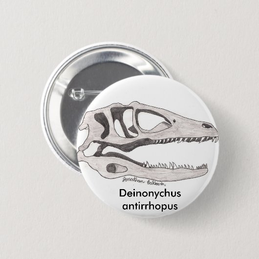 Deinonychus antirrhopus Knopf Button (Vorne & Hinten)