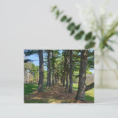 Deis Hill Park, Dover, Ohio Postkarte (Stehend Vorderseite)