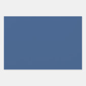 Deja Vu Blue Spring Season Solid Color Geschenkpapier Set (Vorderseite)