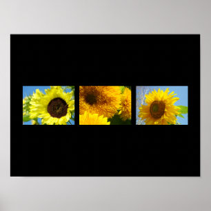 Deko Art druckt botanische Blumenblumen gelb