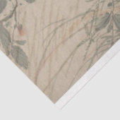 Deko-Papier für Blumenzettel Seidenpapier (Ausschnitt)