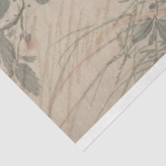 Deko-Papier für Blumenzettel Seidenpapier (Ausschnitt)