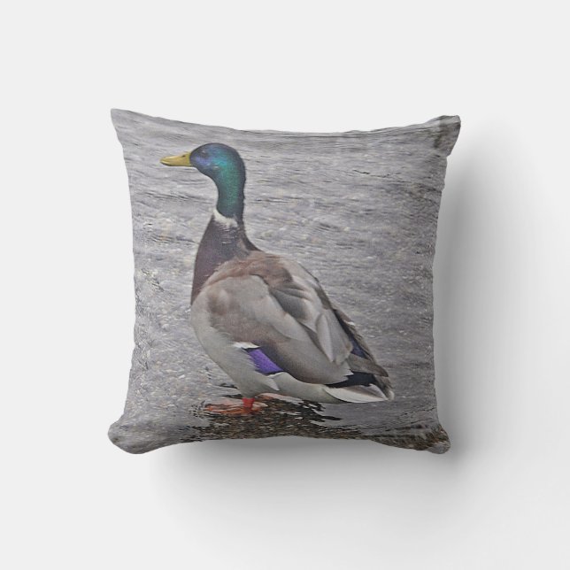 Dekokissen Ente (Vorderseite)