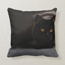 Dekokissen| niedliche schwarze Katzen - Designs