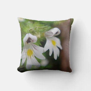 Dekokissen zwei weiß s gelbe Blüten