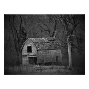 "Dekomposition" Fotodruck