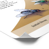 Dekomposure drucken poster (Ecke)