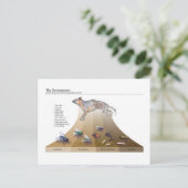 Dekomposure Postkarte (Stehend Vorderseite)