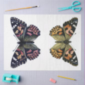 Dekopack des Butterfly-Elements Seidenpapier (Basteln)