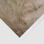 Dekopapier für kleine Strohdächer Seidenpapier (Ausschnitt)