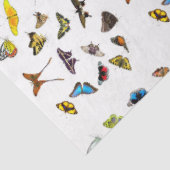 Dekopulationspapier Seidenpapier (Ausschnitt)