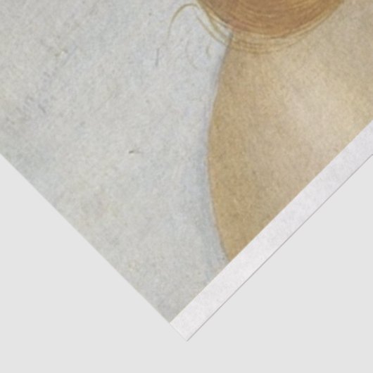 Dekopulver für Venusmöbel Seidenpapier (Ausschnitt)