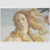 Dekopulver für Venusmöbel Seidenpapier (Vorderseite)