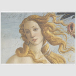 Dekopulver für Venusmöbel Seidenpapier