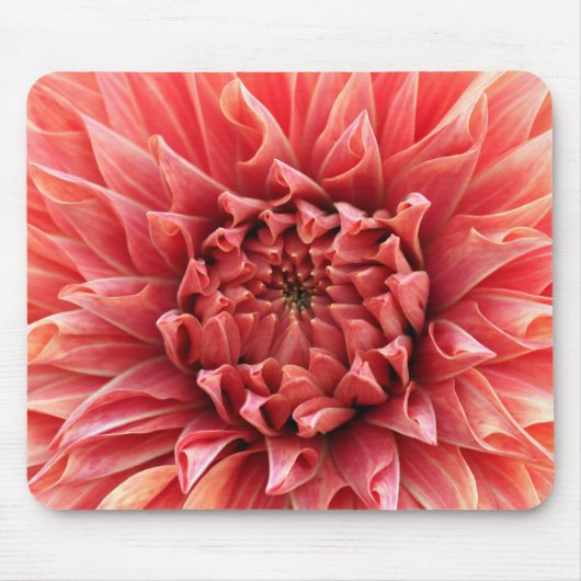 Dekor der Blume 88 Mousepad (Vorne)