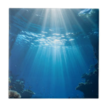 Dekor des Korallenriffs in Sunlit