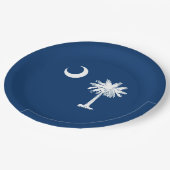 Dekor für die Flaggen des South Carolina-Staates Pappteller (Schrägansicht)