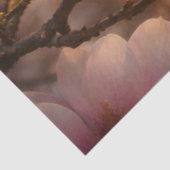 Dekor mit rosa Magnolienblüten Seidenpapier (Ausschnitt)