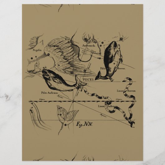 Dekor von Pisces Constellation Hevelius 1690 (Vorderseite)