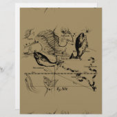 Dekor von Pisces Constellation Hevelius 1690 (Vorne/Hinten)