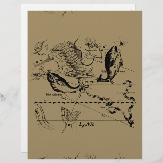 Dekor von Pisces Constellation Hevelius 1690 (Vorne/Hinten)