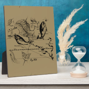 Dekor von Pisces Constellation Hevelius 1690 Fotoplatte