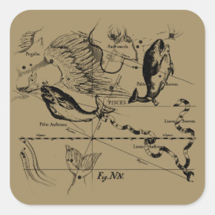 Dekor von Pisces Constellation Hevelius 1690 Quadratischer Aufkleber