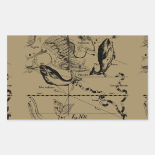 Dekor von Pisces Constellation Hevelius 1690 Rechteckiger Aufkleber