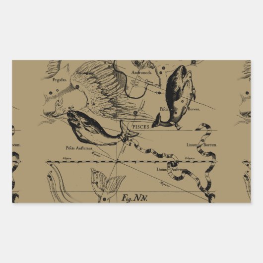 Dekor von Pisces Constellation Hevelius 1690 Rechteckiger Aufkleber (Vorderseite)