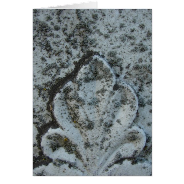 Dekoration alter Grabsteine, unbedruckt im Inneren (Vorne)